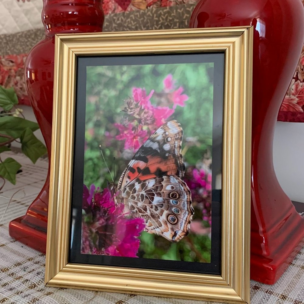 Set of (15) Assorted Butterfly Greeting Cards